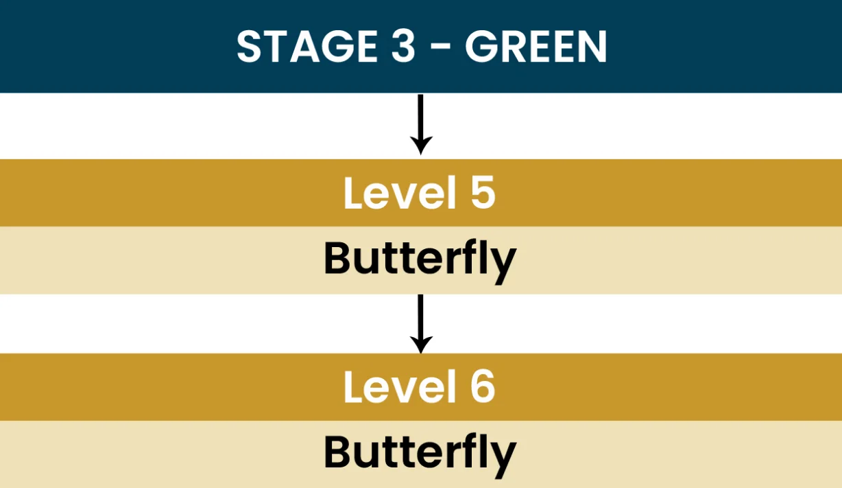 flow-chart-cs2